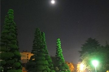 보름달 뜬 밤