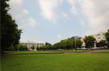 백도와 잔디